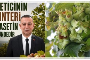Erkan Güngör: Üreticinin Alın Teri, Siyasetin Üstündedir